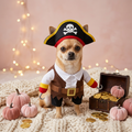 Pirate Chihuahua Boutique Lifestyle