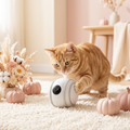 Smart Cat Toy Ball Boutique